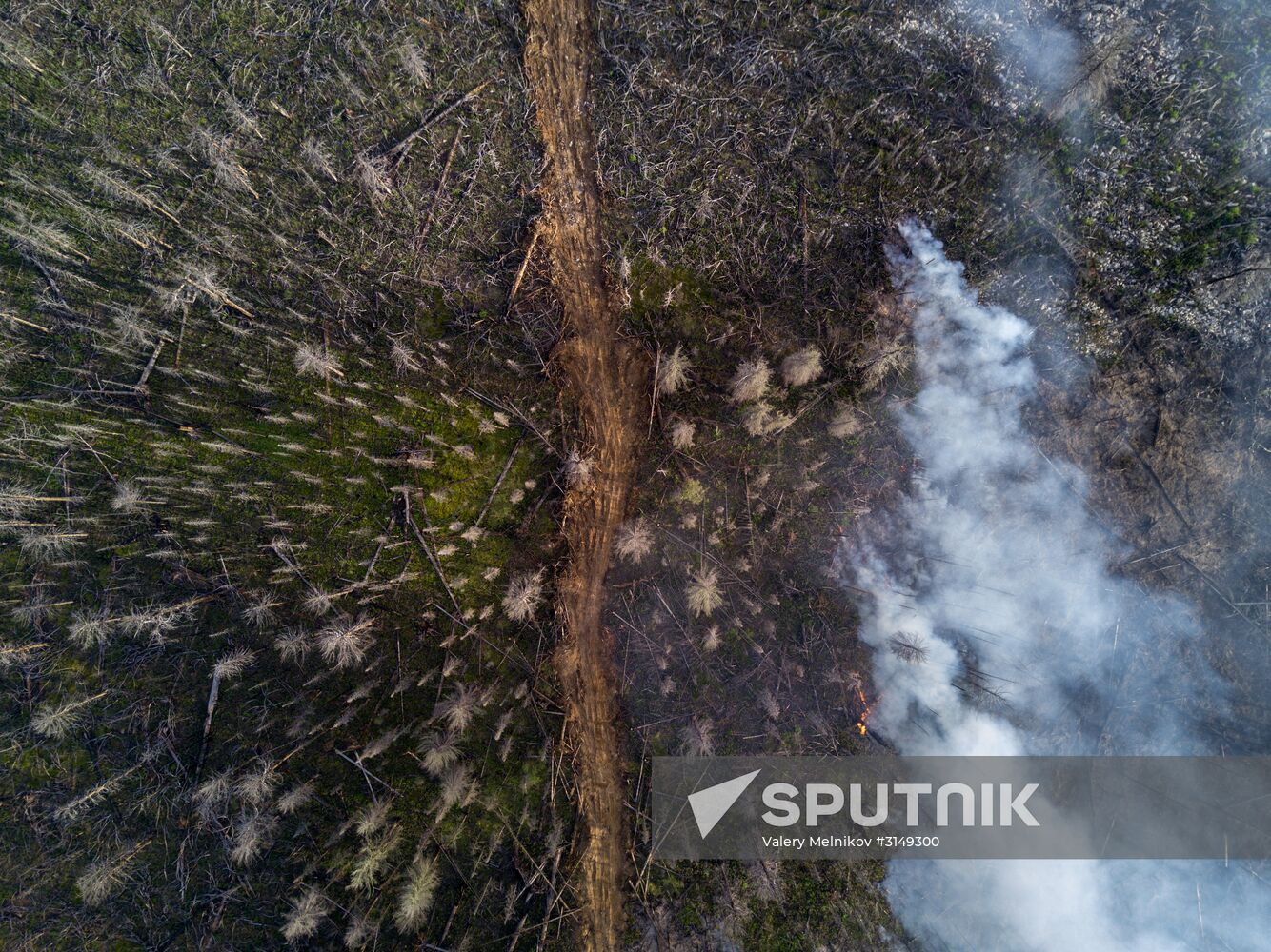 Forest fires in Buryatia