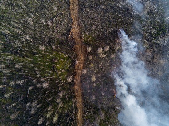 Forest fires in Buryatia