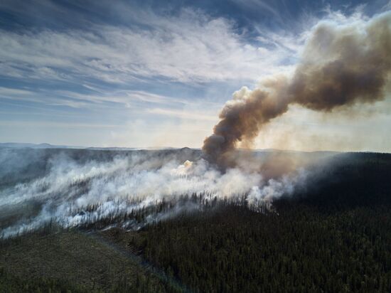 Forest fires in Buryatia