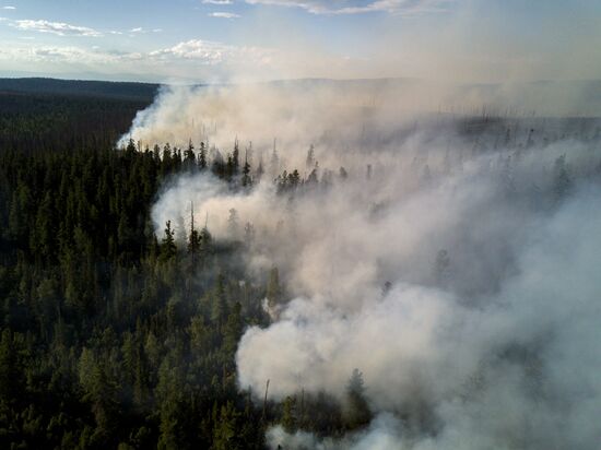Forest fires in Buryatia