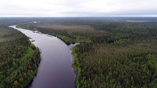Vodlozero National Park in Karelia