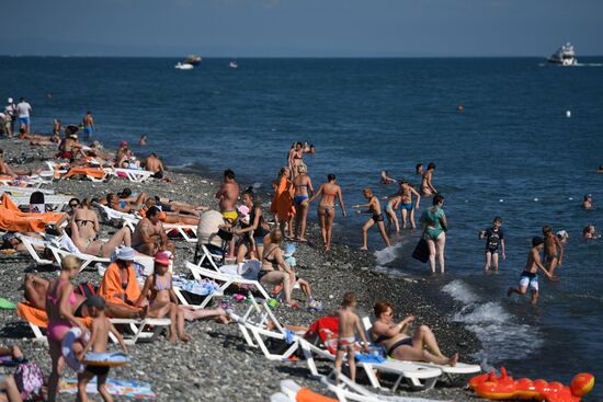 Summer in Sochi