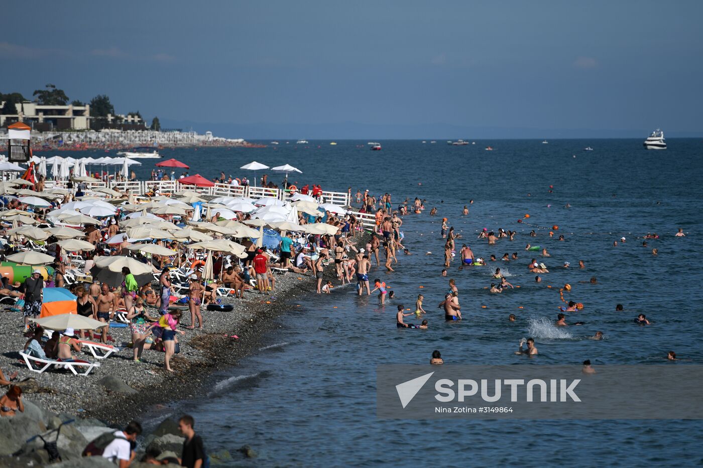 Summer in Sochi