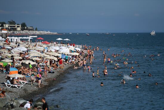 Summer in Sochi