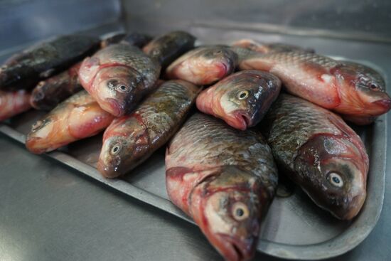 Krasnodar food markets