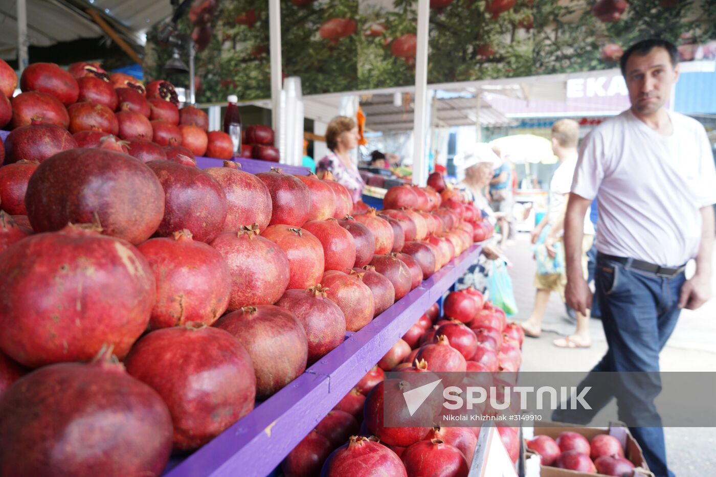 Krasnodar food markets