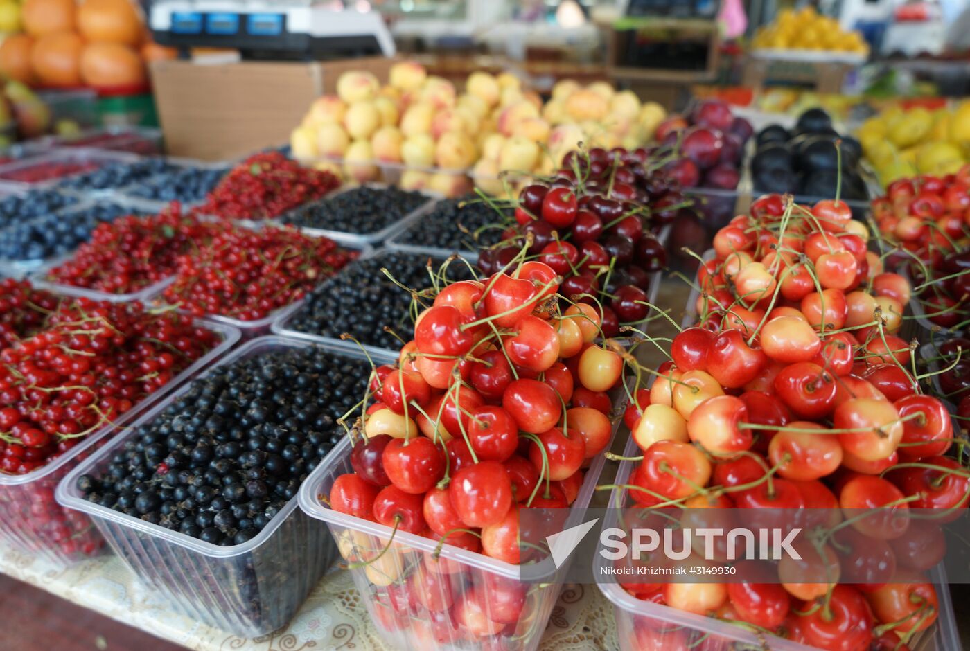 Krasnodar food markets