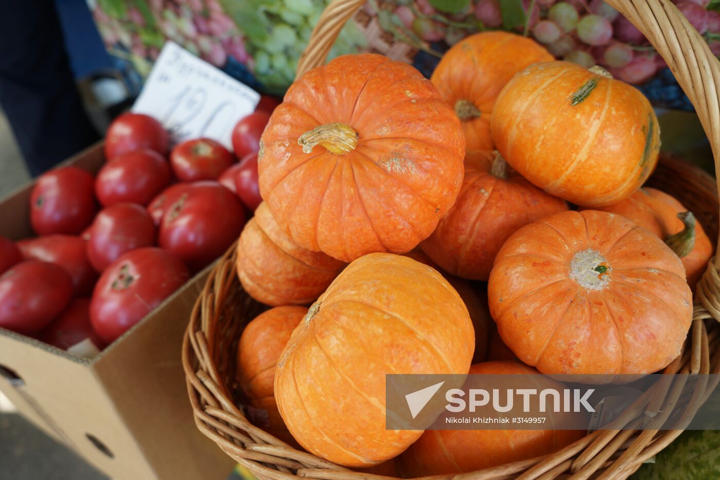 Krasnodar food markets