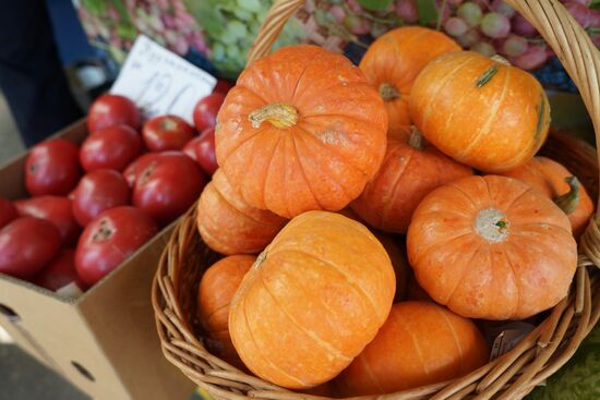 Krasnodar food markets