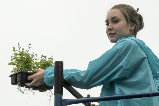 Installation of landscape arrangements of "Summer in Moscow. Flower jam" festival