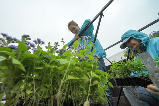 Installation of landscape arrangements of "Summer in Moscow. Flower jam" festival
