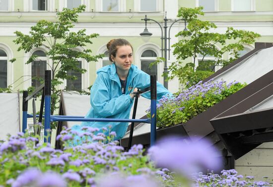 Installation of landscape arrangements of "Summer in Moscow. Flower jam" festival