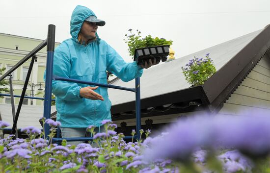 Installation of landscape arrangements of "Summer in Moscow. Flower jam" festival