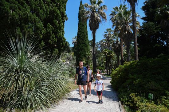 Sochi Arboretum
