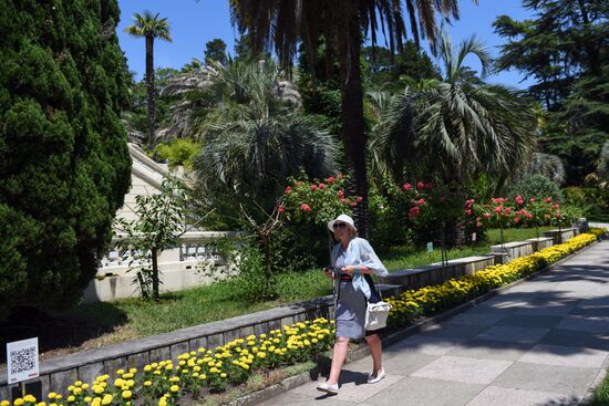 Sochi Arboretum