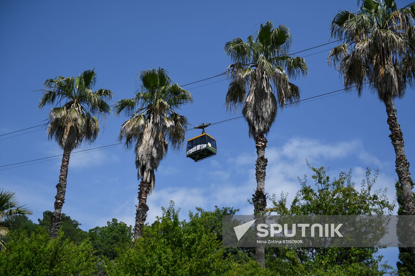 Sochi Arboretum