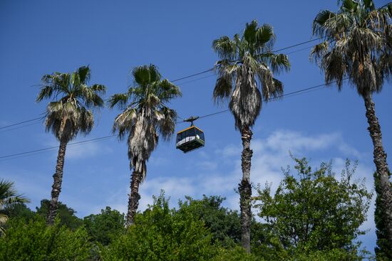 Sochi Arboretum