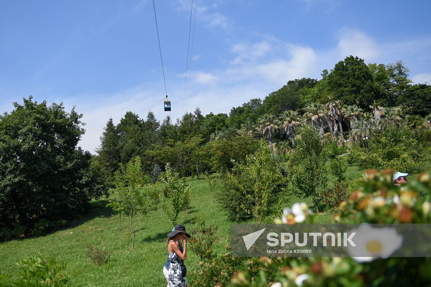 Sochi Arboretum