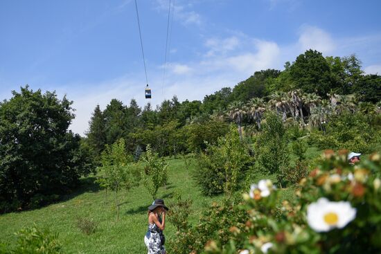 Sochi Arboretum