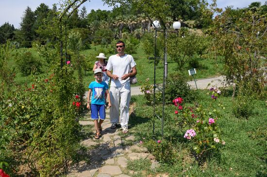 Sochi Arboretum