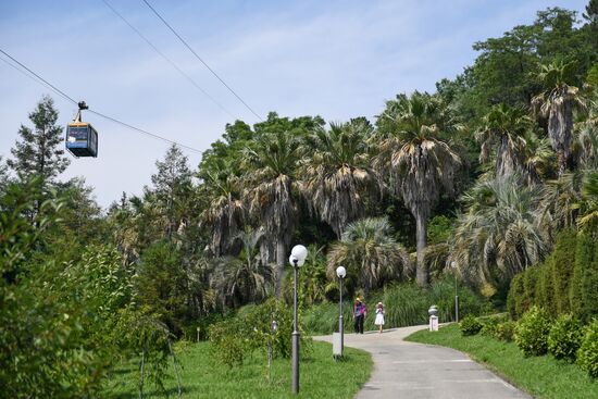 Sochi Arboretum