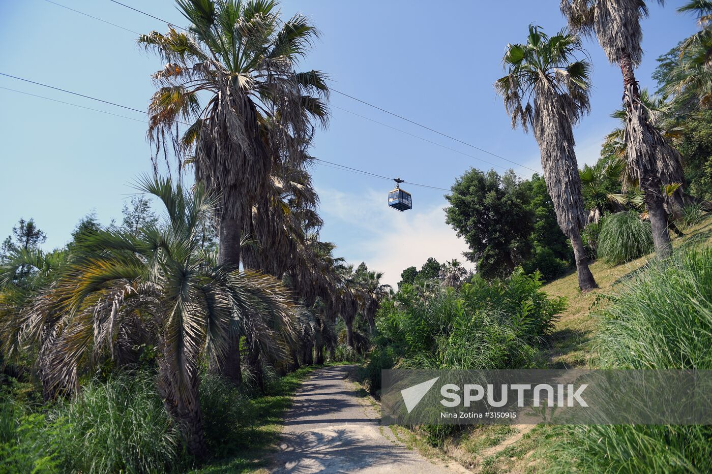 Sochi Arboretum