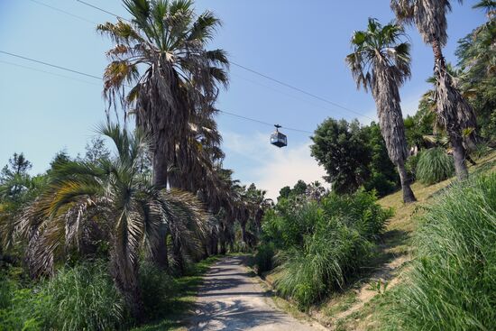 Sochi Arboretum