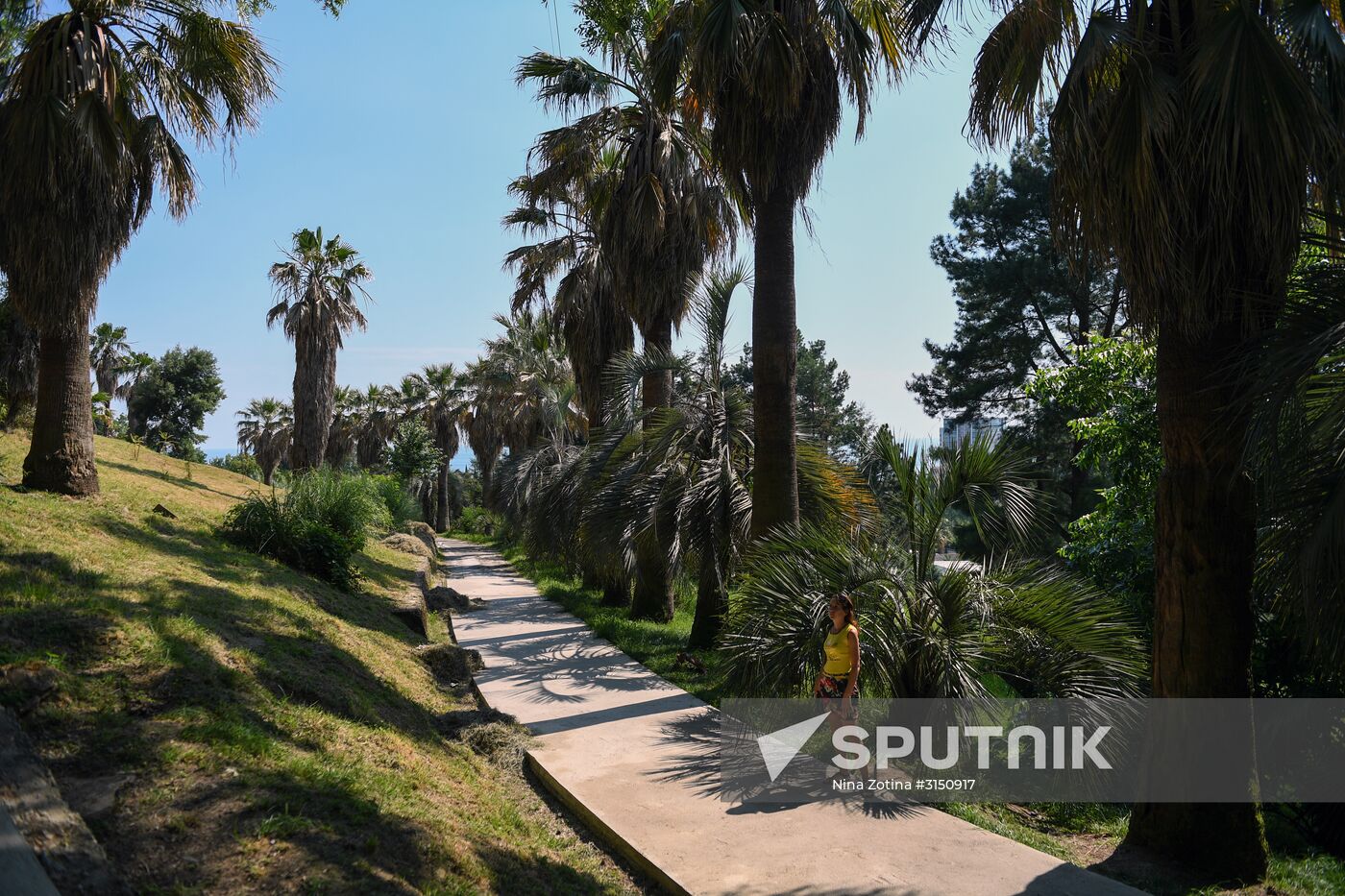 Sochi Arboretum