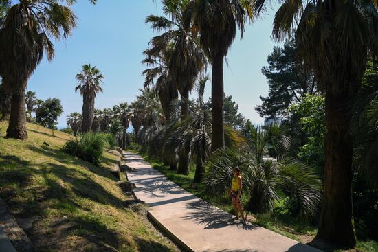 Sochi Arboretum