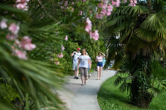 Sochi Arboretum