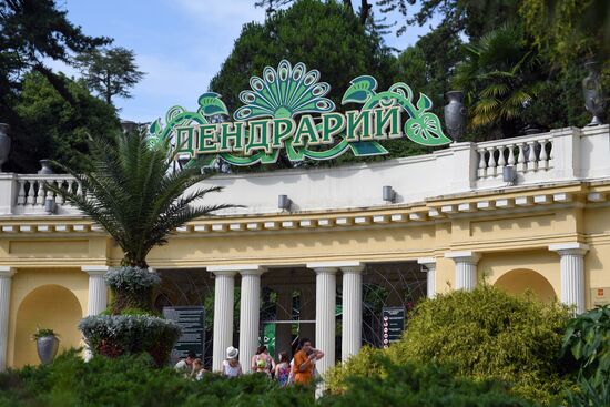 Sochi Dendrarium park