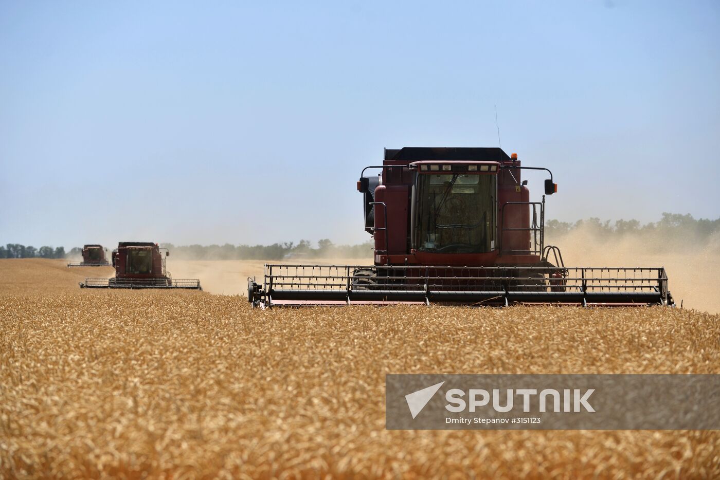 Grain harvesting in Stavropol Territory