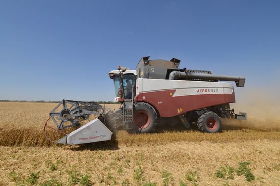 Grain harvesting in Stavropol Territory