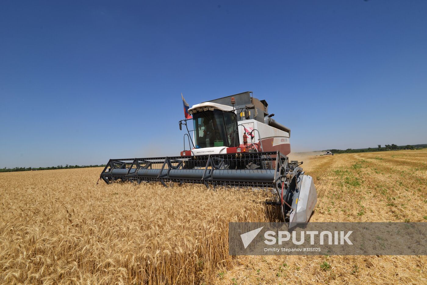 Grain harvesting in Stavropol Territory