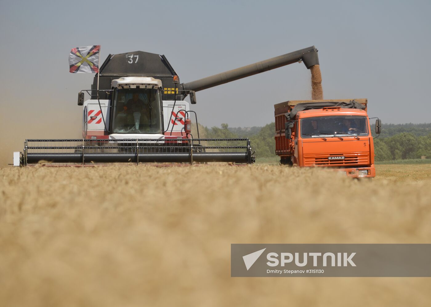 Grain harvesting in Stavropol Territory