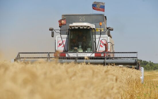 Grain harvesting in Stavropol Territory