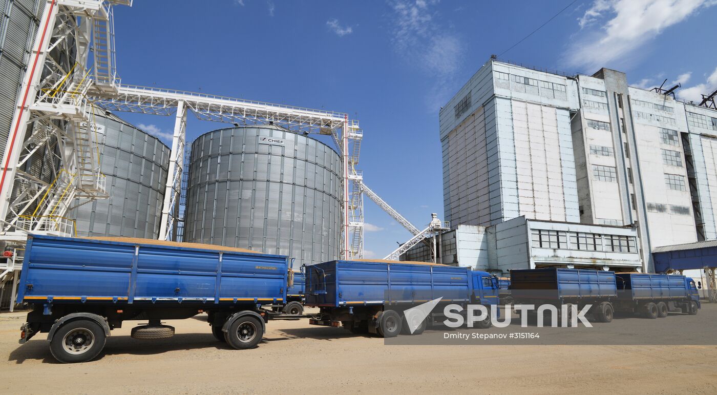 Grain harvesting in Stavropol Territory