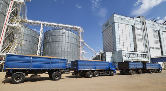 Grain harvesting in Stavropol Territory