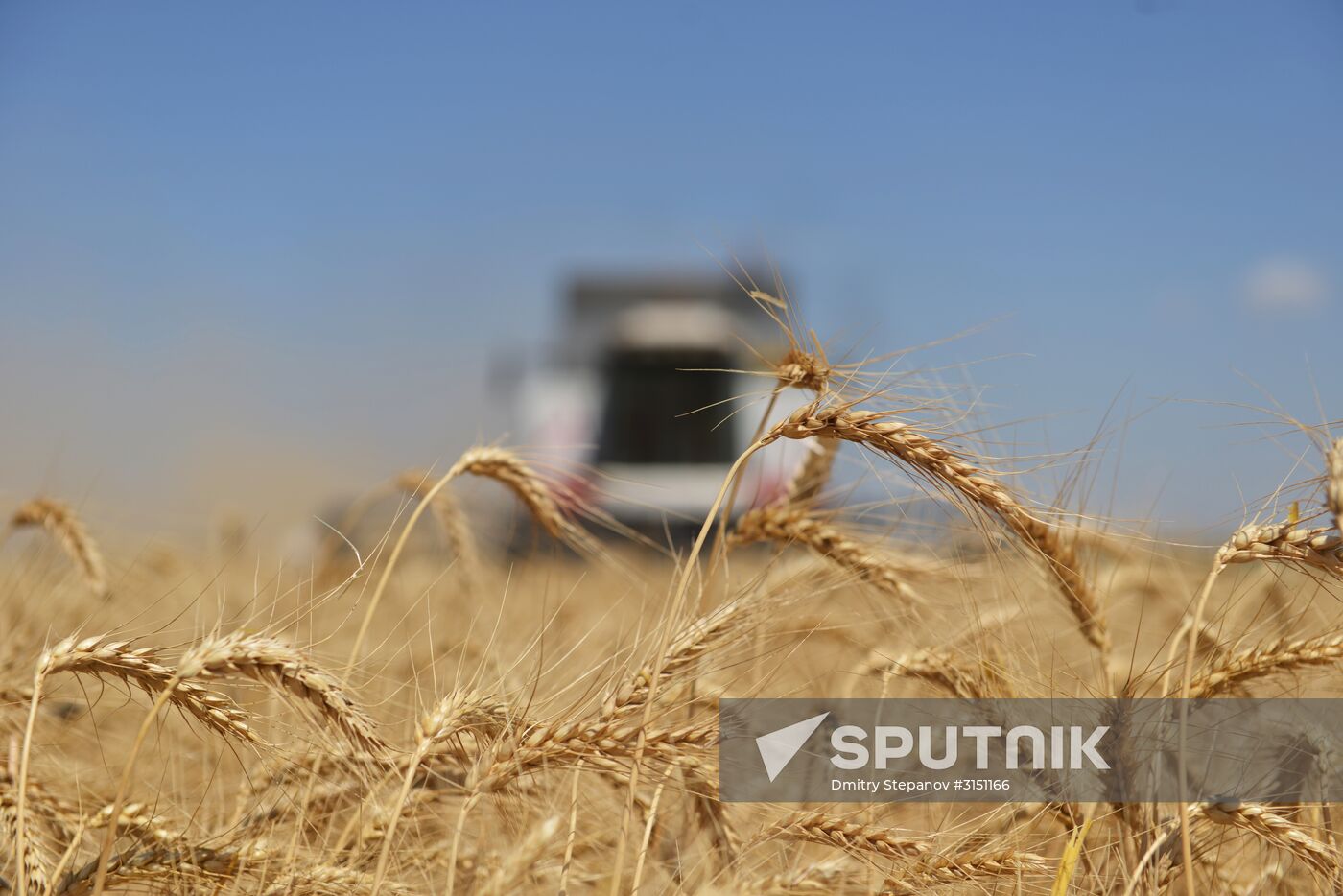 Grain harvesting in Stavropol Territory