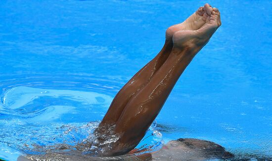 17th FINA World Championships. Synchronized Swimming. Solo. Technical program. Final