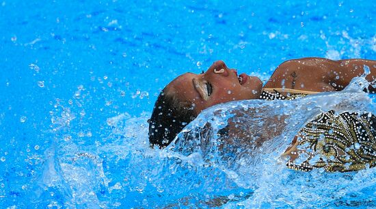17th FINA World Championships. Synchronized Swimming. Solo. Technical program. Final