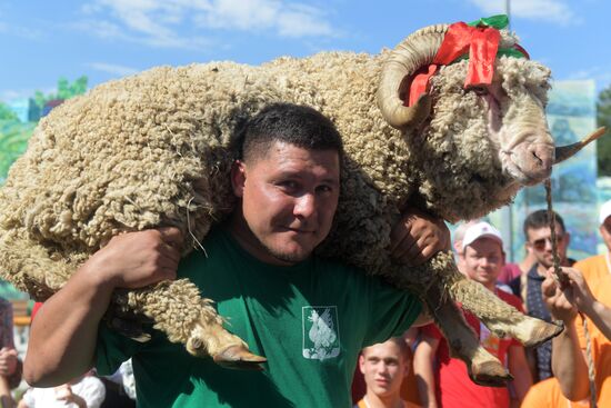 Sabantui festival in Kazan