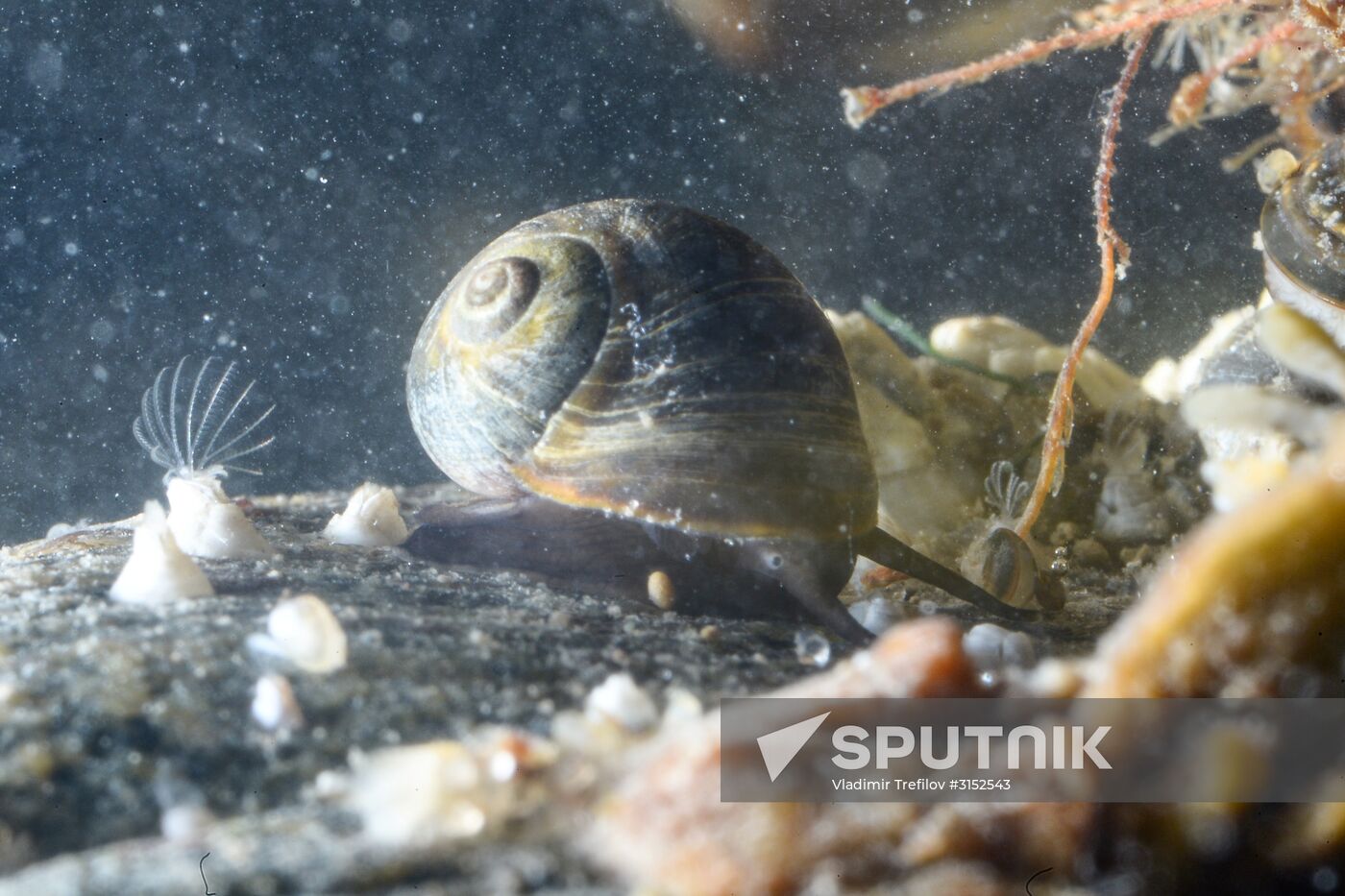 Institute for Environmental Issues of the North expedition to White Sea