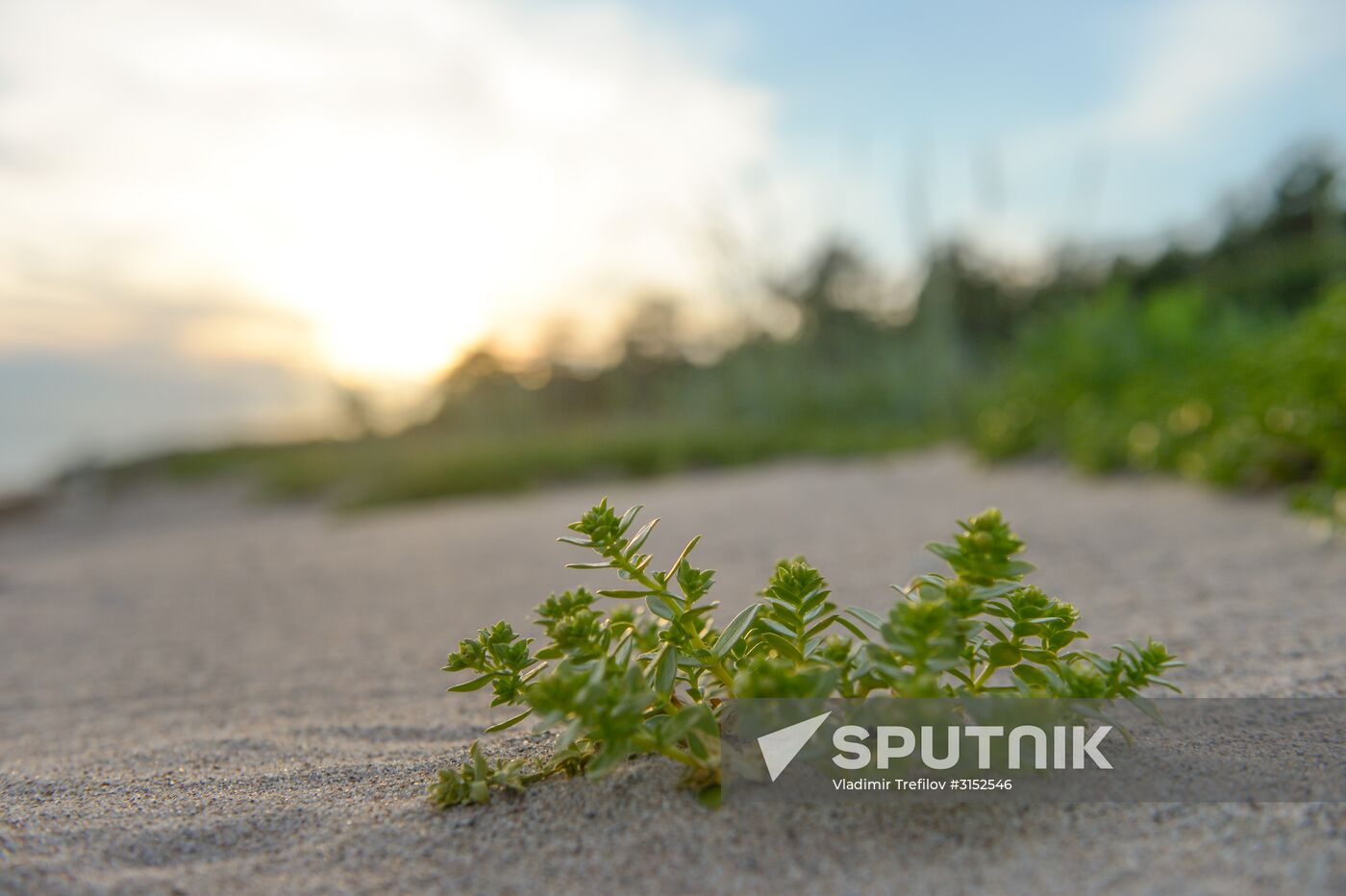 Institute for Environmental Issues of the North expedition to White Sea