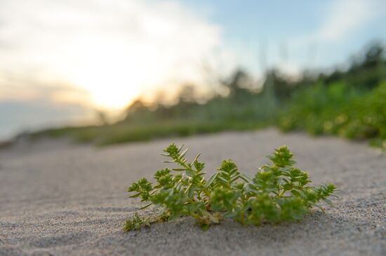Institute for Environmental Issues of the North expedition to White Sea