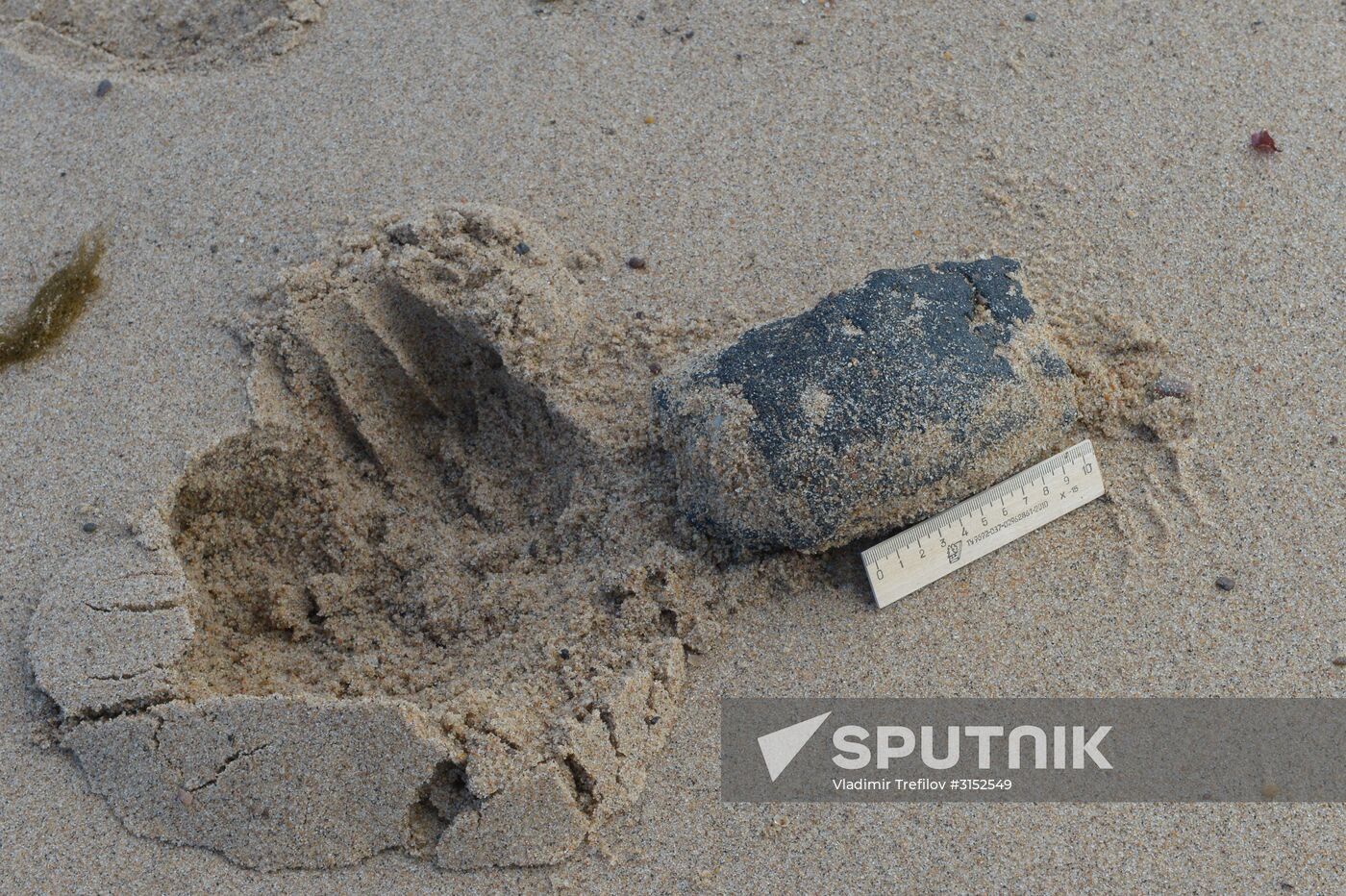 Institute for Environmental Issues of the North expedition to White Sea