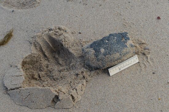 Institute for Environmental Issues of the North expedition to White Sea