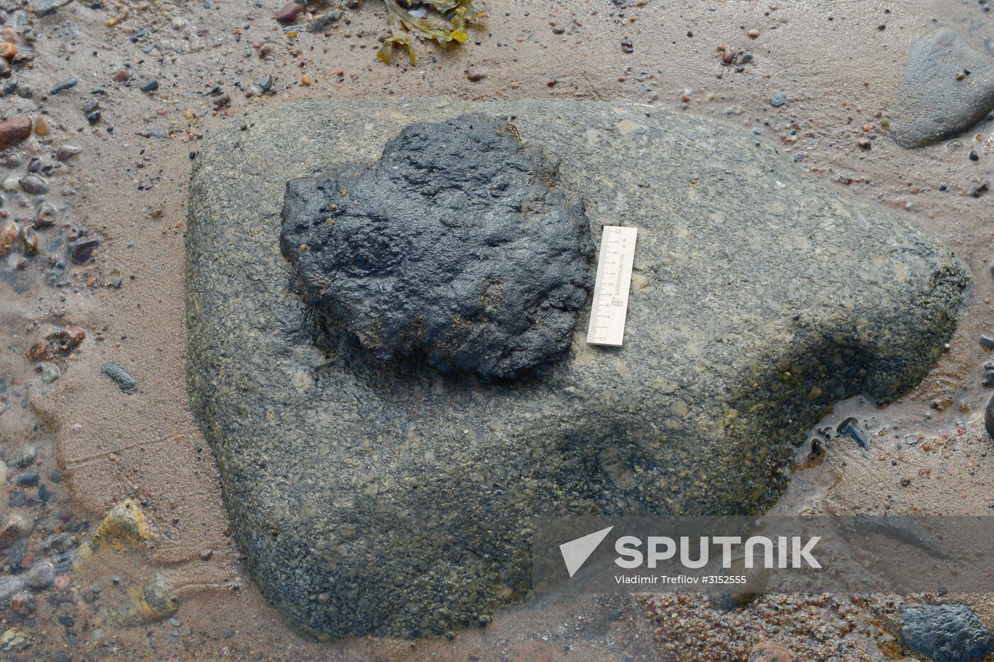 Expedition of Institute for Environmental Issues of the North to White Sea