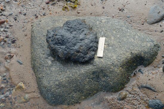 Expedition of Institute for Environmental Issues of the North to White Sea