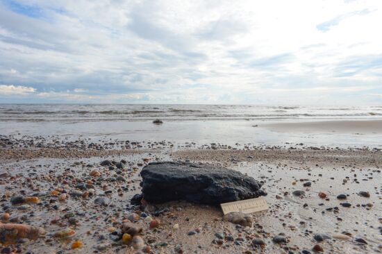 Expedition of Institute for Environmental Issues of the North to White Sea